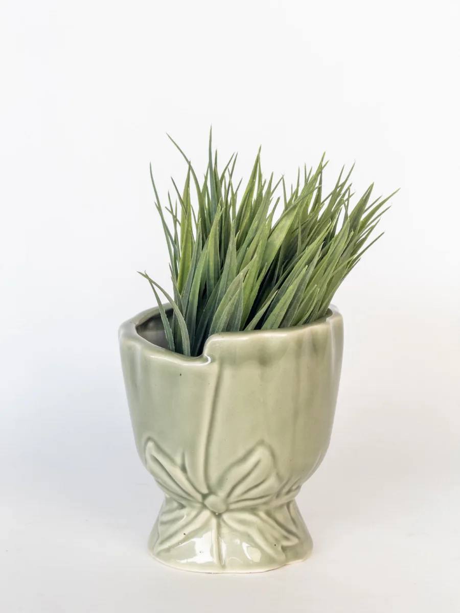 Classic Ceramic Planter — 5.5" Dia × 5" Height — Primary View