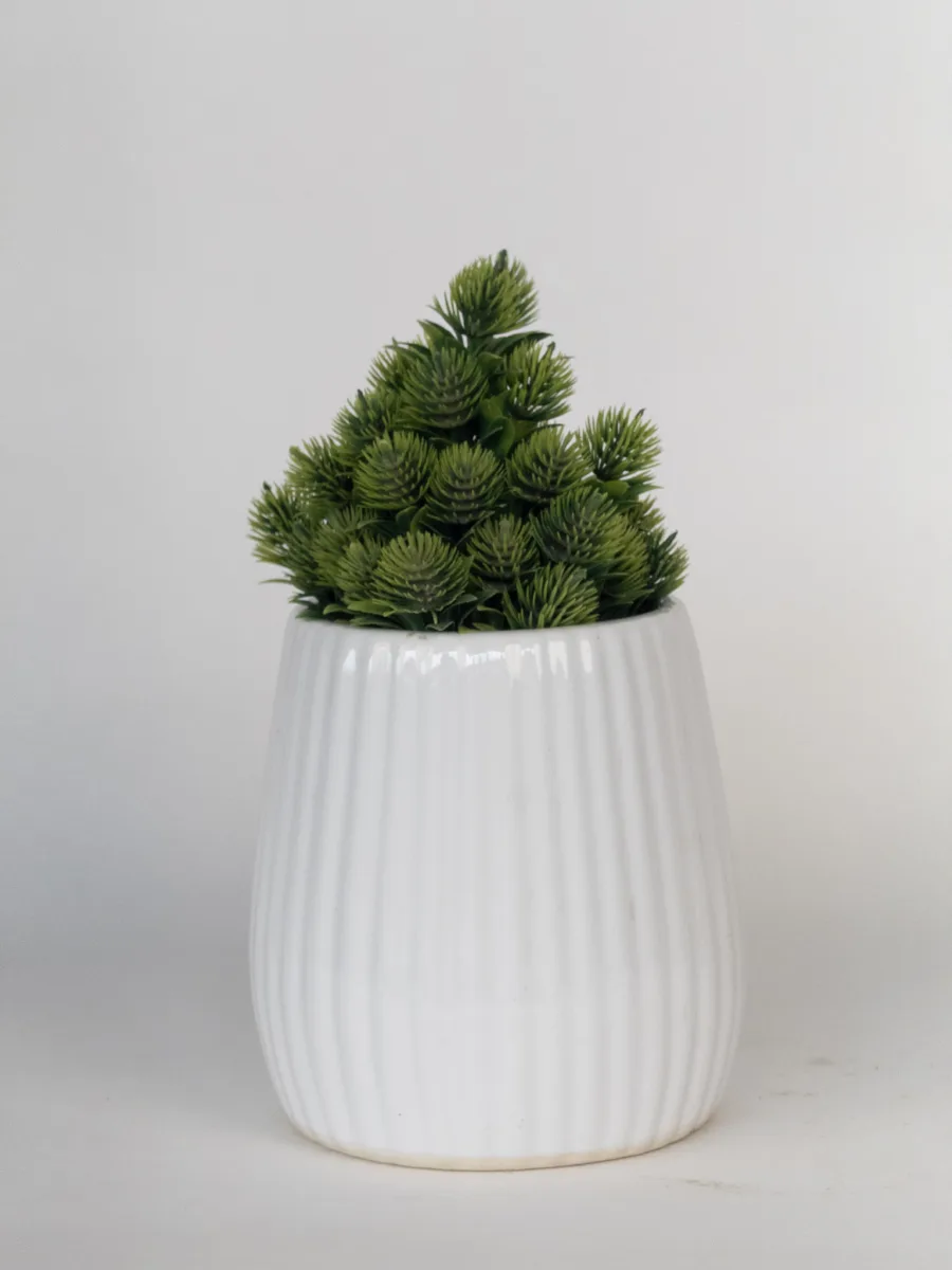Classic Ceramic Planter — 4.5" Dia × 5" Height — Primary View