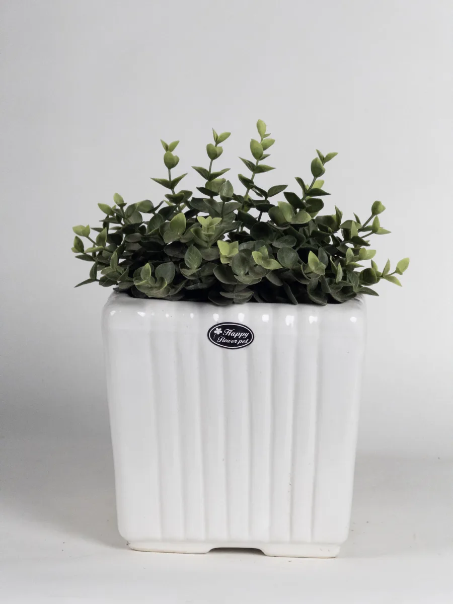 Classic Ceramic Planter — 5.5" Dia × 5" Height — Primary View