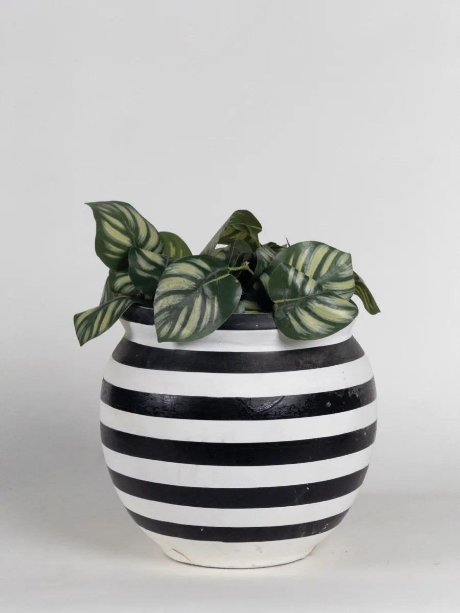 Classic Ceramic Planter — 5" Dia × 6" Height — Primary View