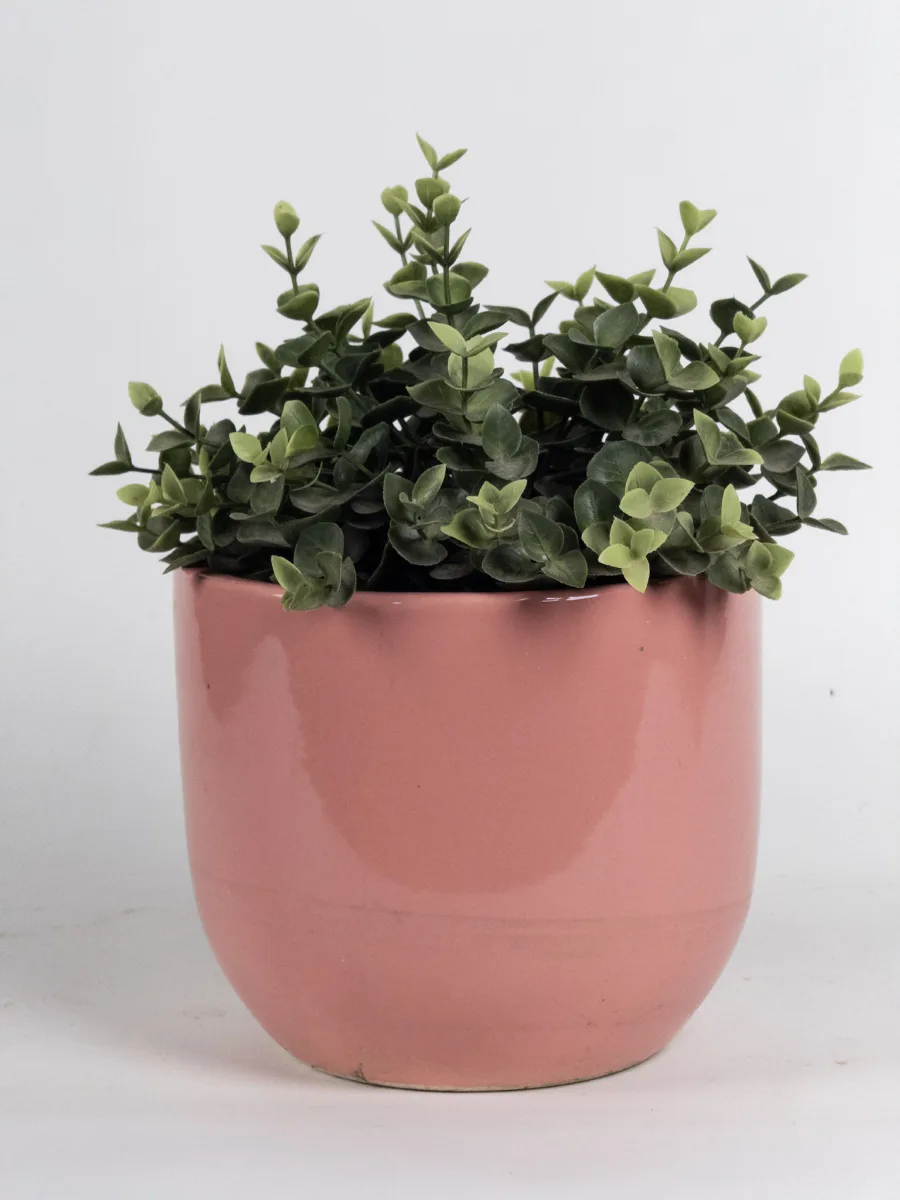 Classic Ceramic Planter — 4.5" Dia × 5" Height — Primary View