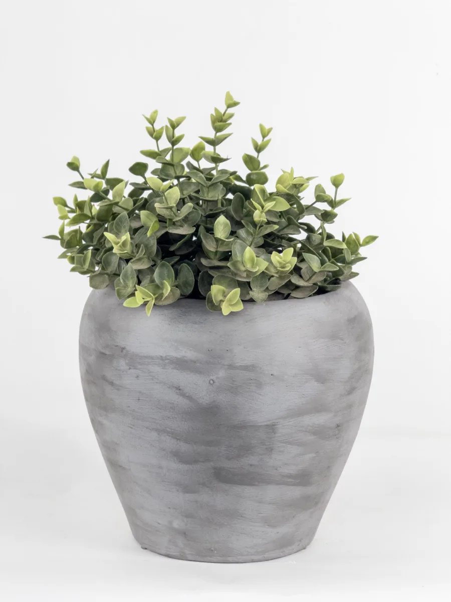 Classic Ceramic Planter — 5.5" Dia × 6" Height — Primary View