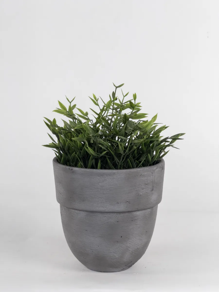 Classic Ceramic Planter — 5.5" Dia × 5" Height — Primary View