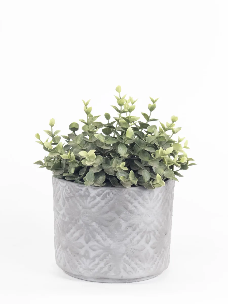 Classic Ceramic Planter — 5.5" Dia × 5" Height — Primary View
