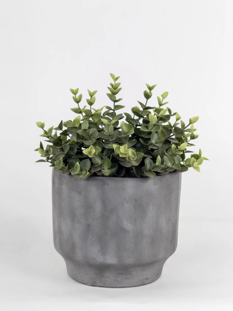 Classic Ceramic Planter — 5.5" Dia × 5" Height — Primary View