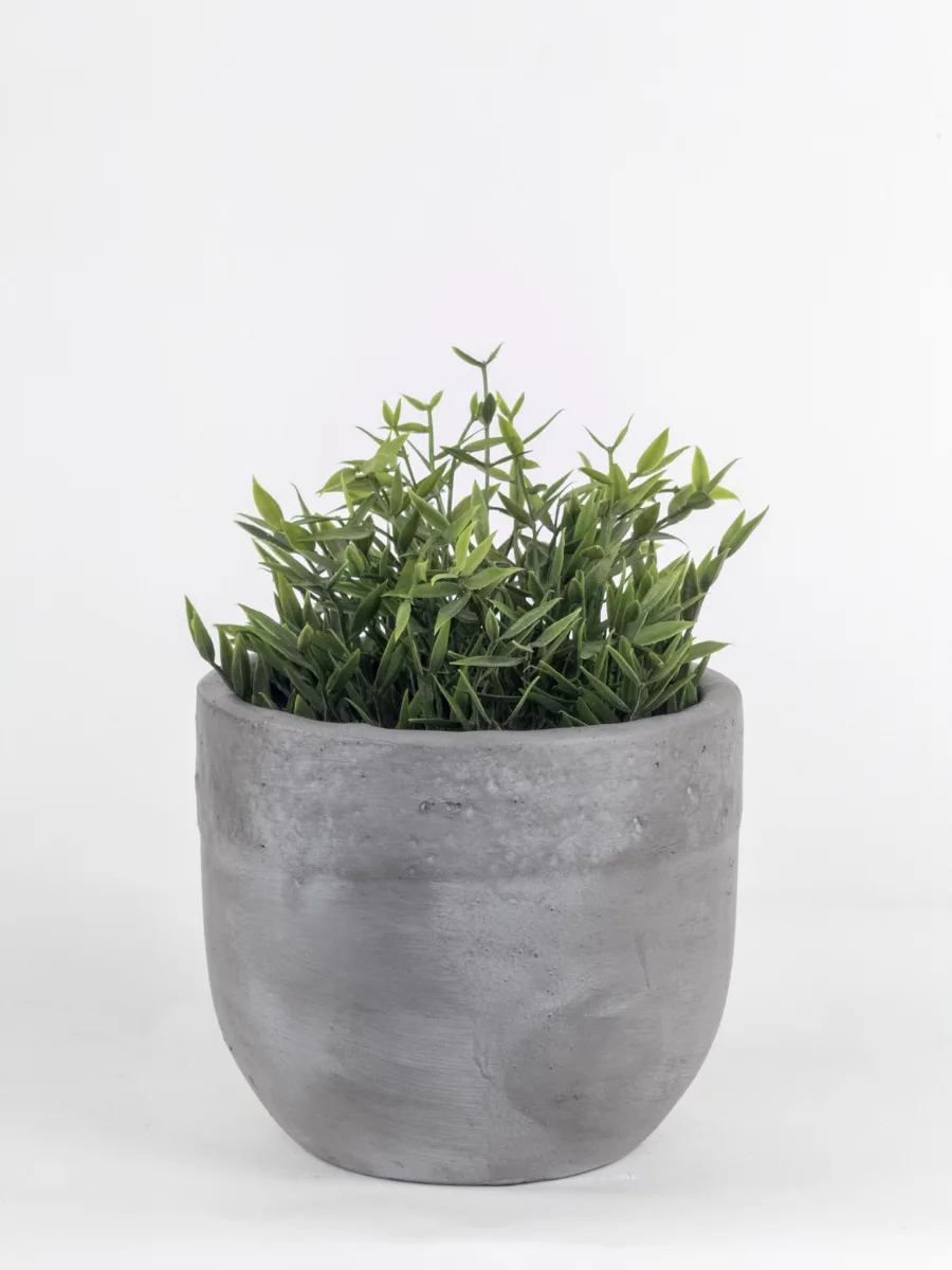 Classic Ceramic Planter — 12" Dia × 4" Height — Primary View