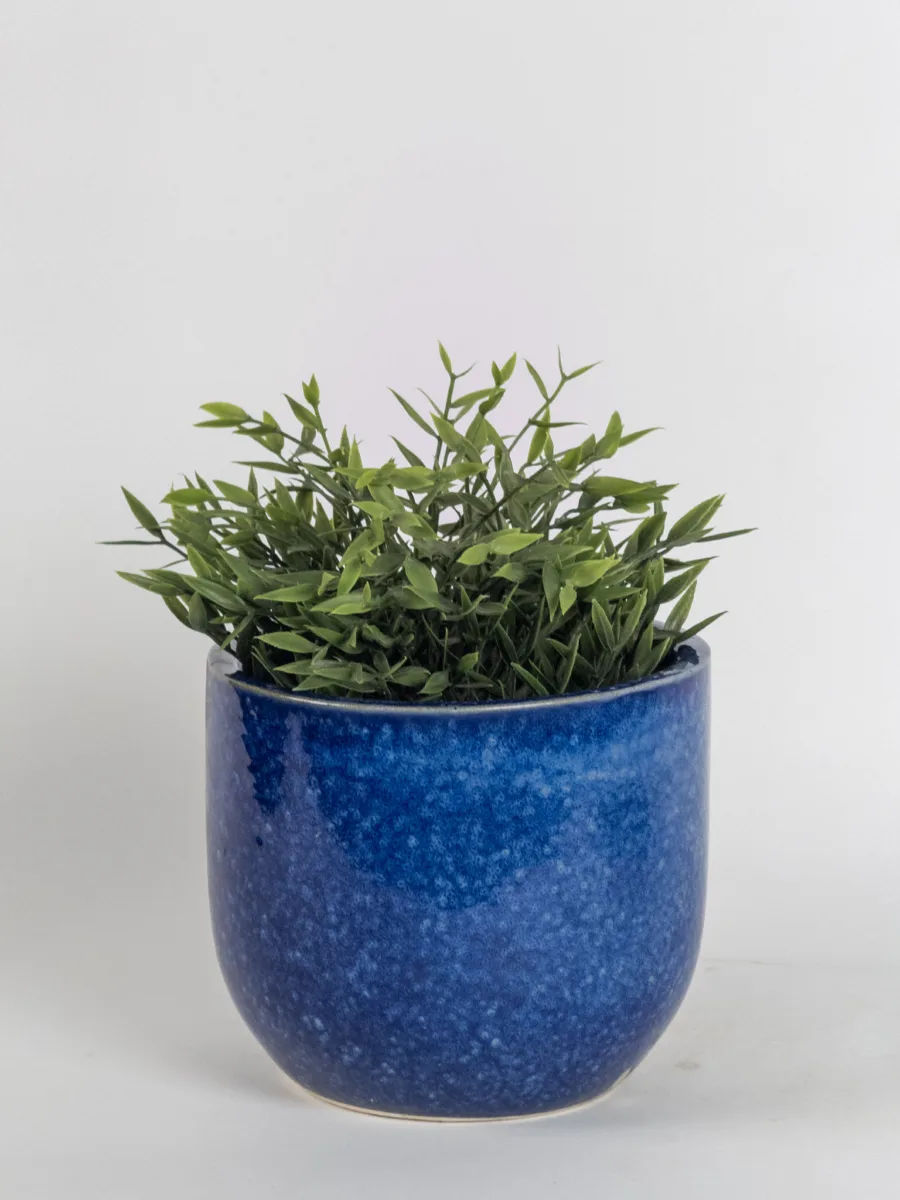 Classic Ceramic Planter — 5" Dia × 5.5" Height — Primary View