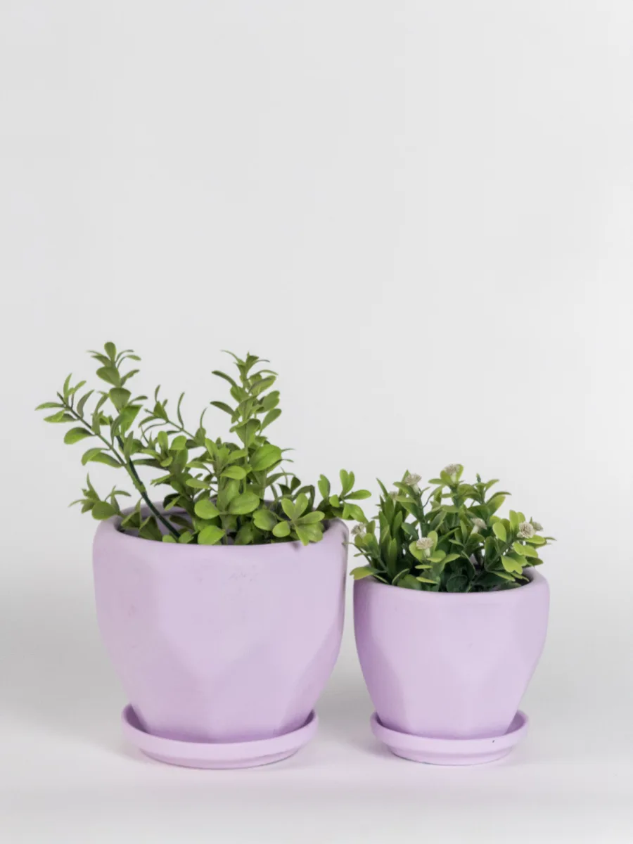 Classic Ceramic Planter — 5" Dia × 4" Height — Primary View