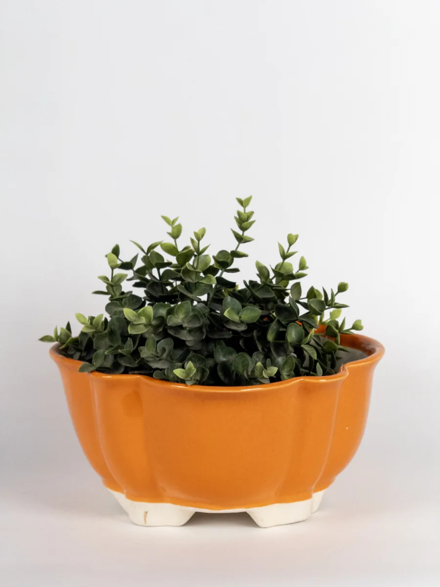 Classic Ceramic Planter — 8" Dia × 9" Height — Primary View