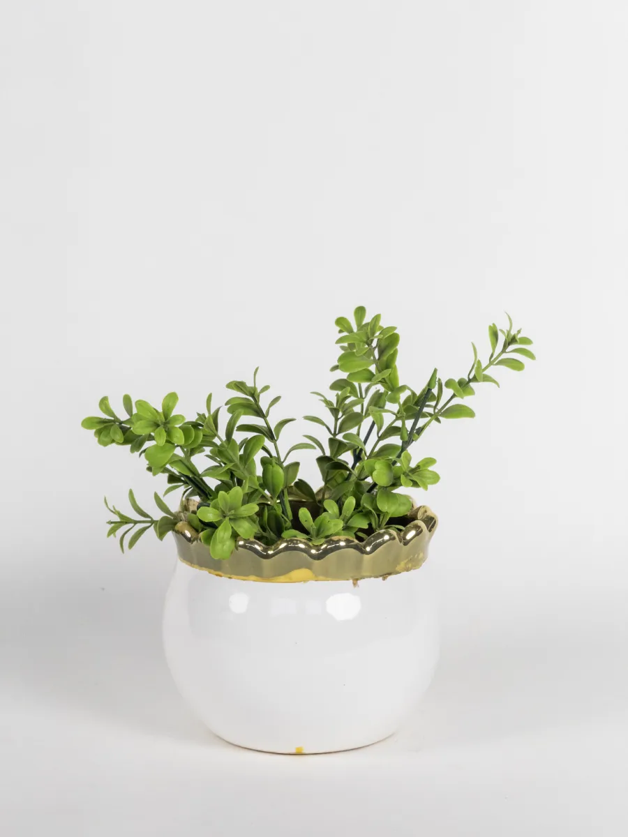 Classic Ceramic Planter — 4.5" Dia × 8" Height — Primary View