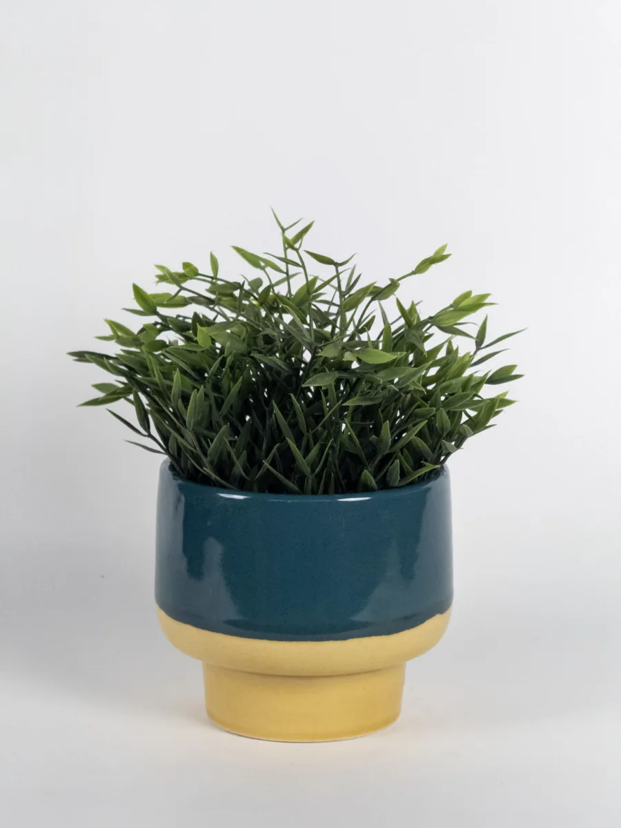 Classic Ceramic Planter — 12" Dia × 4" Height — Primary View