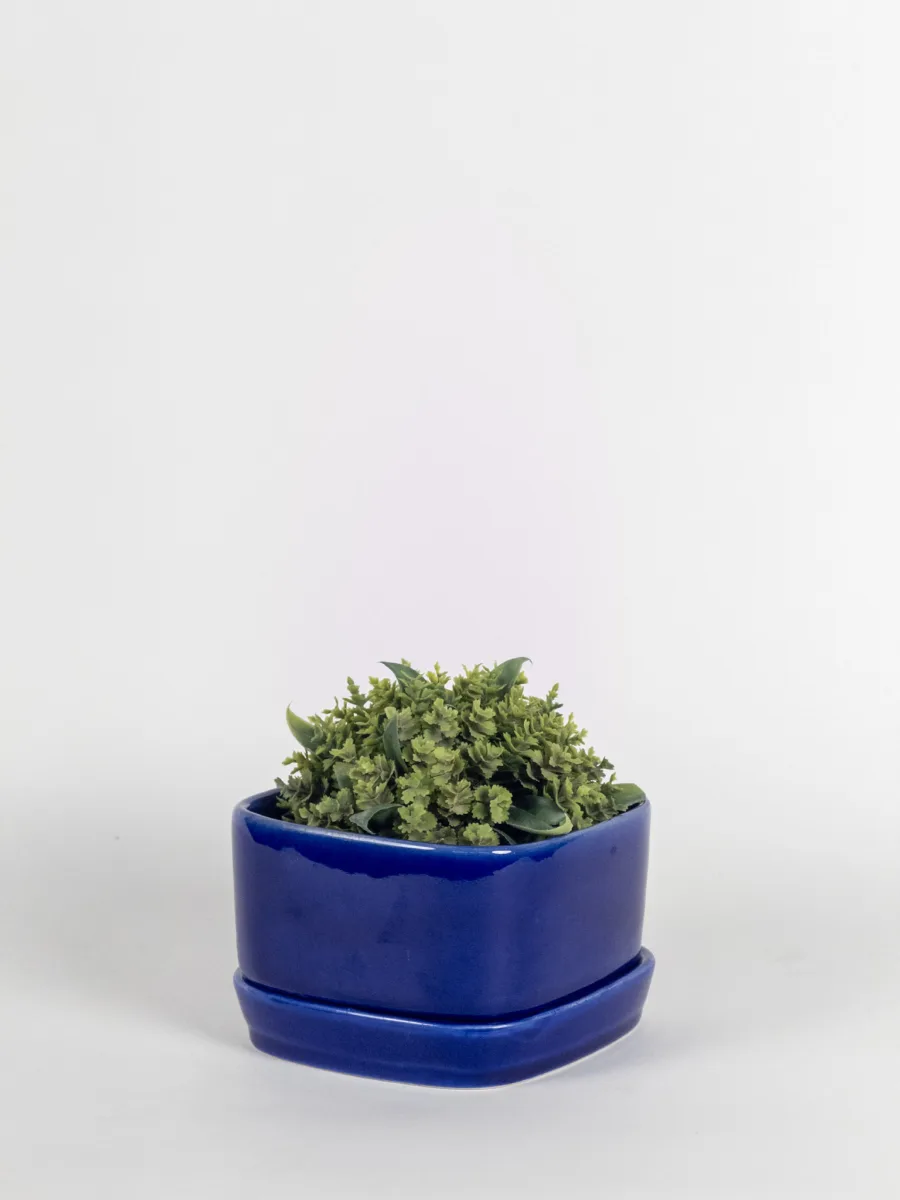 Classic Ceramic Planter — 12" Dia × 4" Height — Primary View
