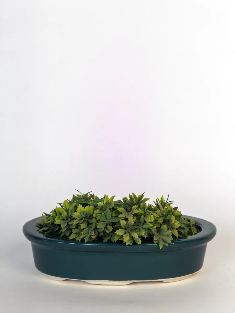 Classic Ceramic Planter Set of 2 (2" Dia) — Primary View