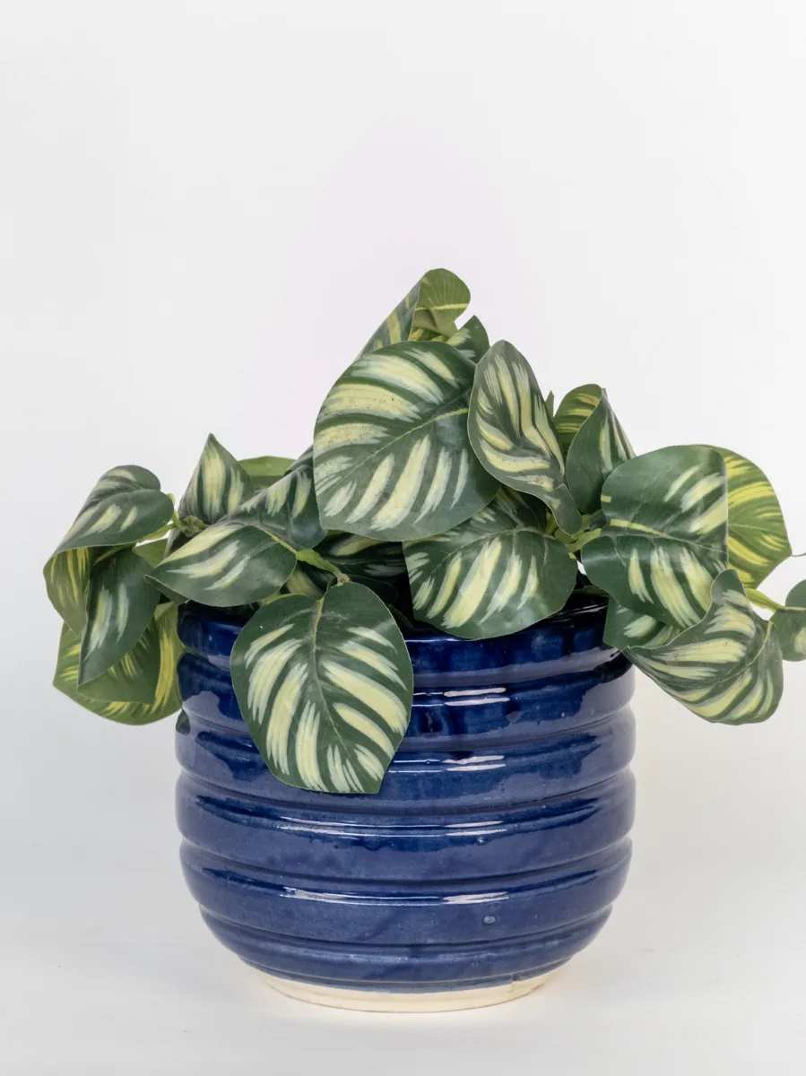 Classic Ceramic Planter Set of 2 (2" Dia) — Primary View