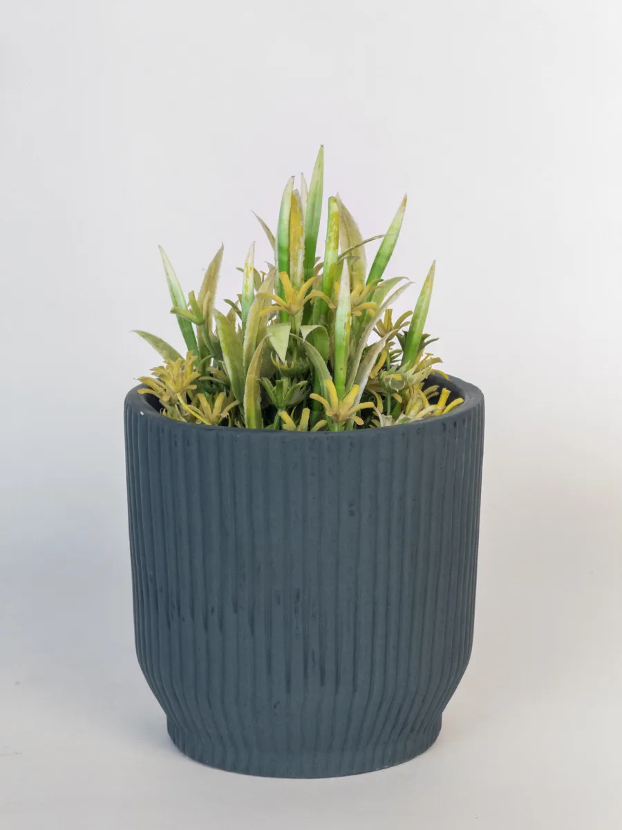 Classic Ceramic Planter — 10" Dia × 5" Height — Primary View