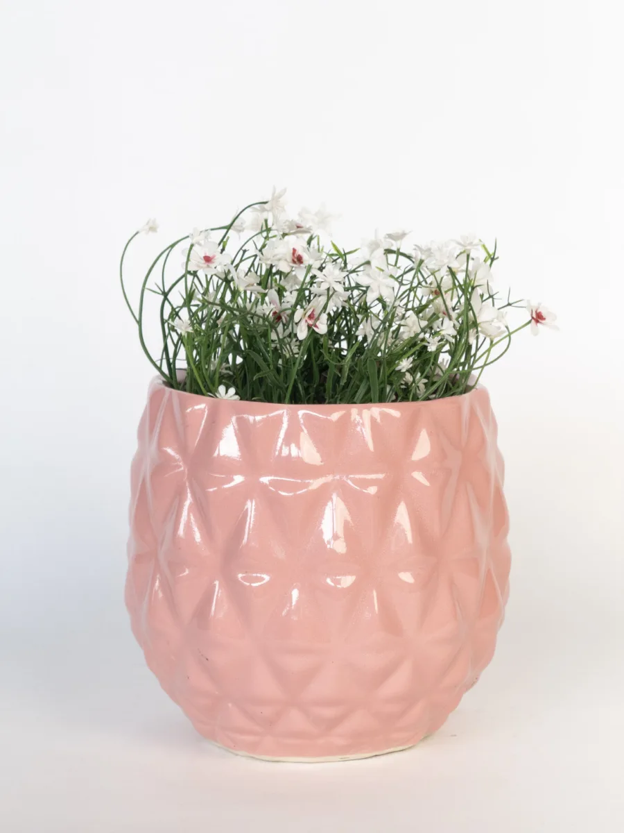 Classic Ceramic Planter — 10" Dia × 5" Height — Primary View
