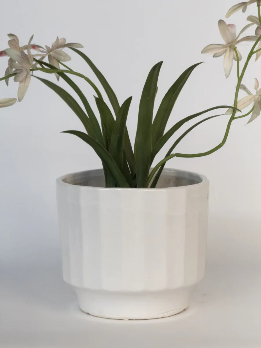 Classic Ceramic Planter — Primary View