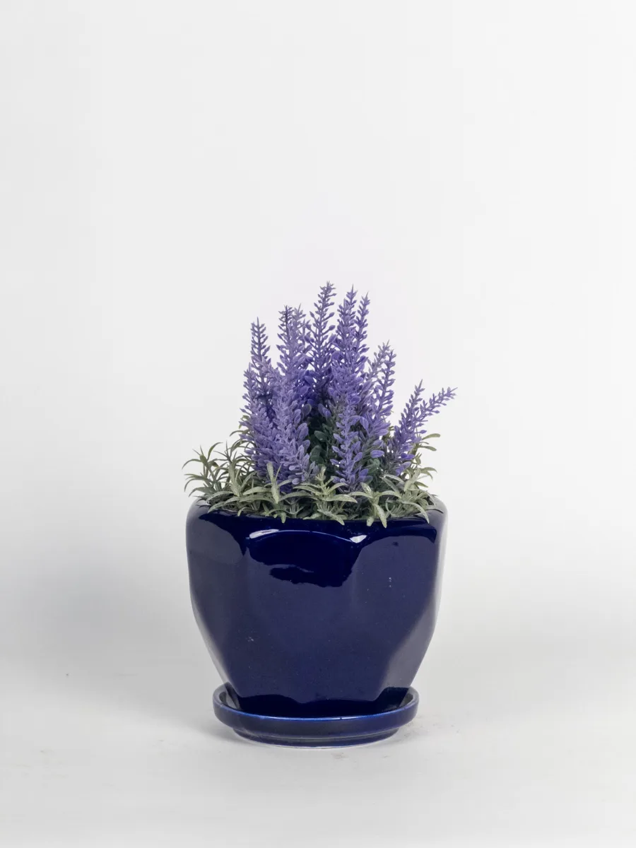 Classic Ceramic Planter — 12" Dia × 3" Height — Primary View