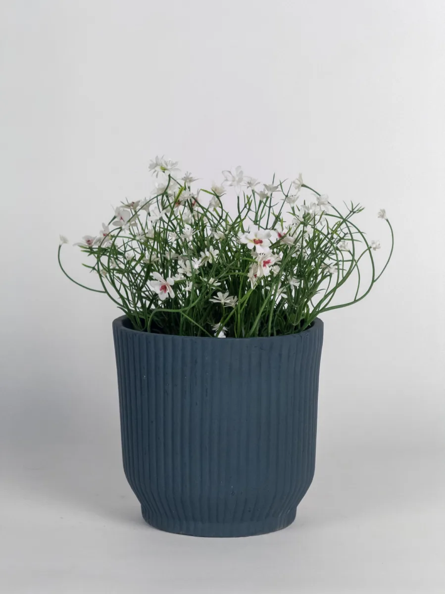 Classic Ceramic Planter — 6.5" Dia × 5" Height — Primary View