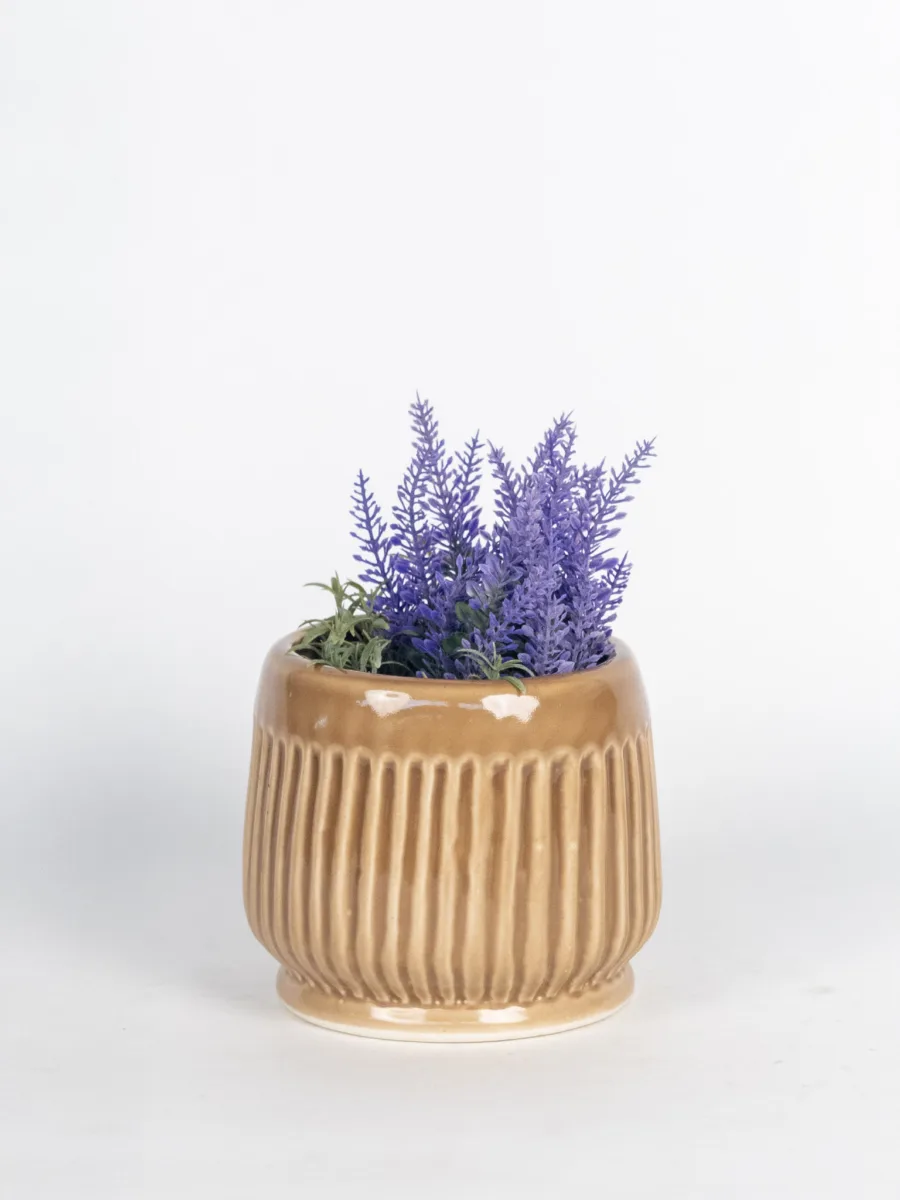 Classic Ceramic Planter — 5" Dia × 5" Height — Primary View