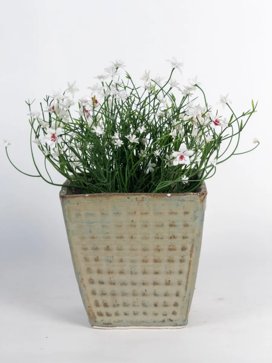 Classic Ceramic Planter — 6" Dia × 6.5" Height — Primary View