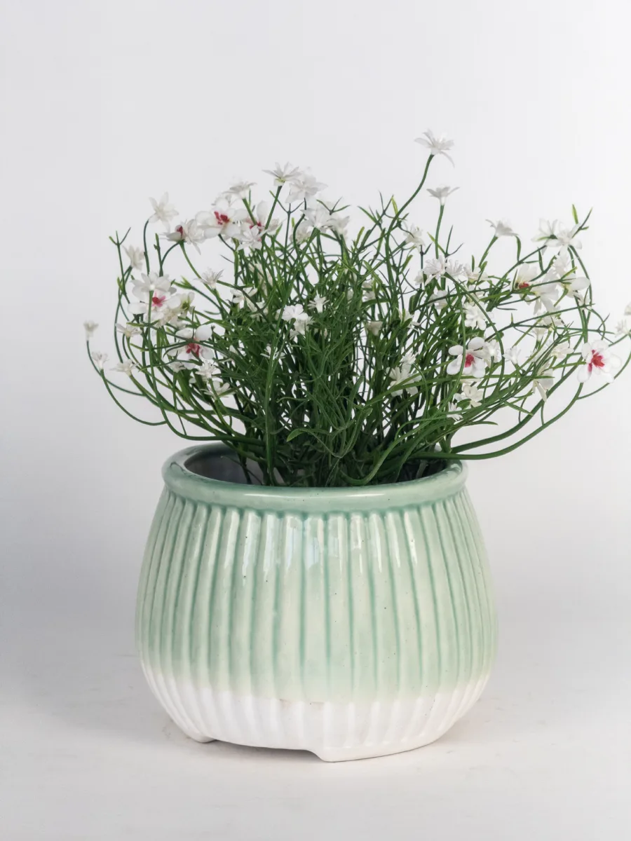 Classic Ceramic Planter — 6.5" Dia × 6" Height — Primary View