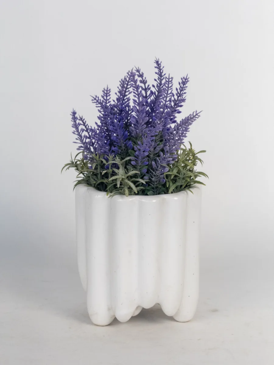 Classic Ceramic Planter — 5" Dia × 4.5" Height — Primary View