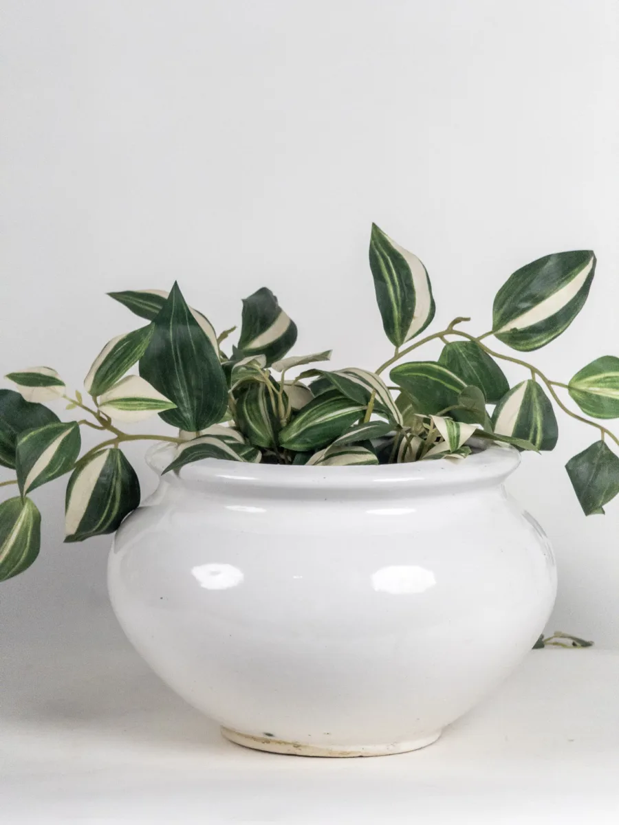 Classic Ceramic Planter — 5" Dia × 4.5" Height — Primary View