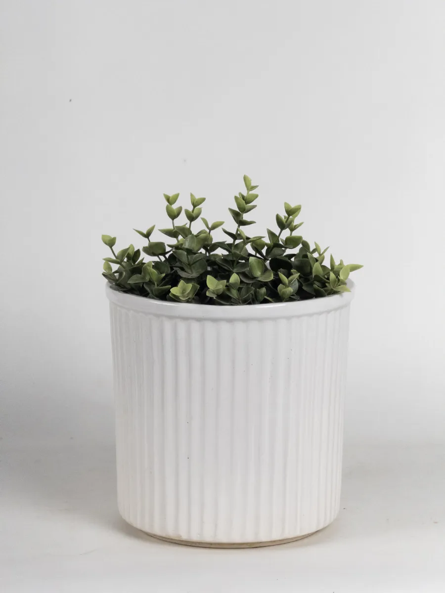 Classic Ceramic Planter — 5" Dia × 5" Height — Primary View