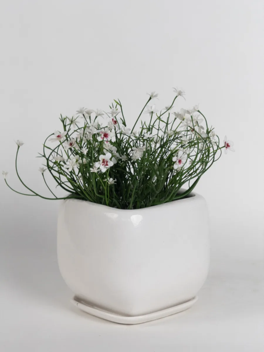 Classic Ceramic Planter — 10" Dia × 7" Height — Primary View
