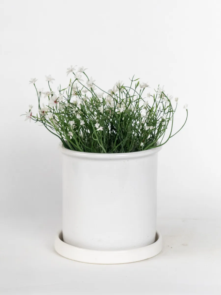 Classic Ceramic Planter — 8" Dia × 8" Height — Primary View