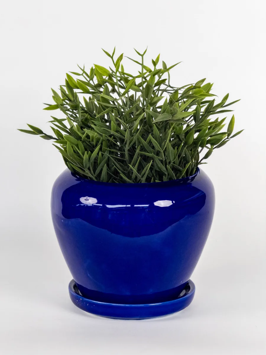 Classic Ceramic Planter — 8" Dia × 8" Height — Primary View