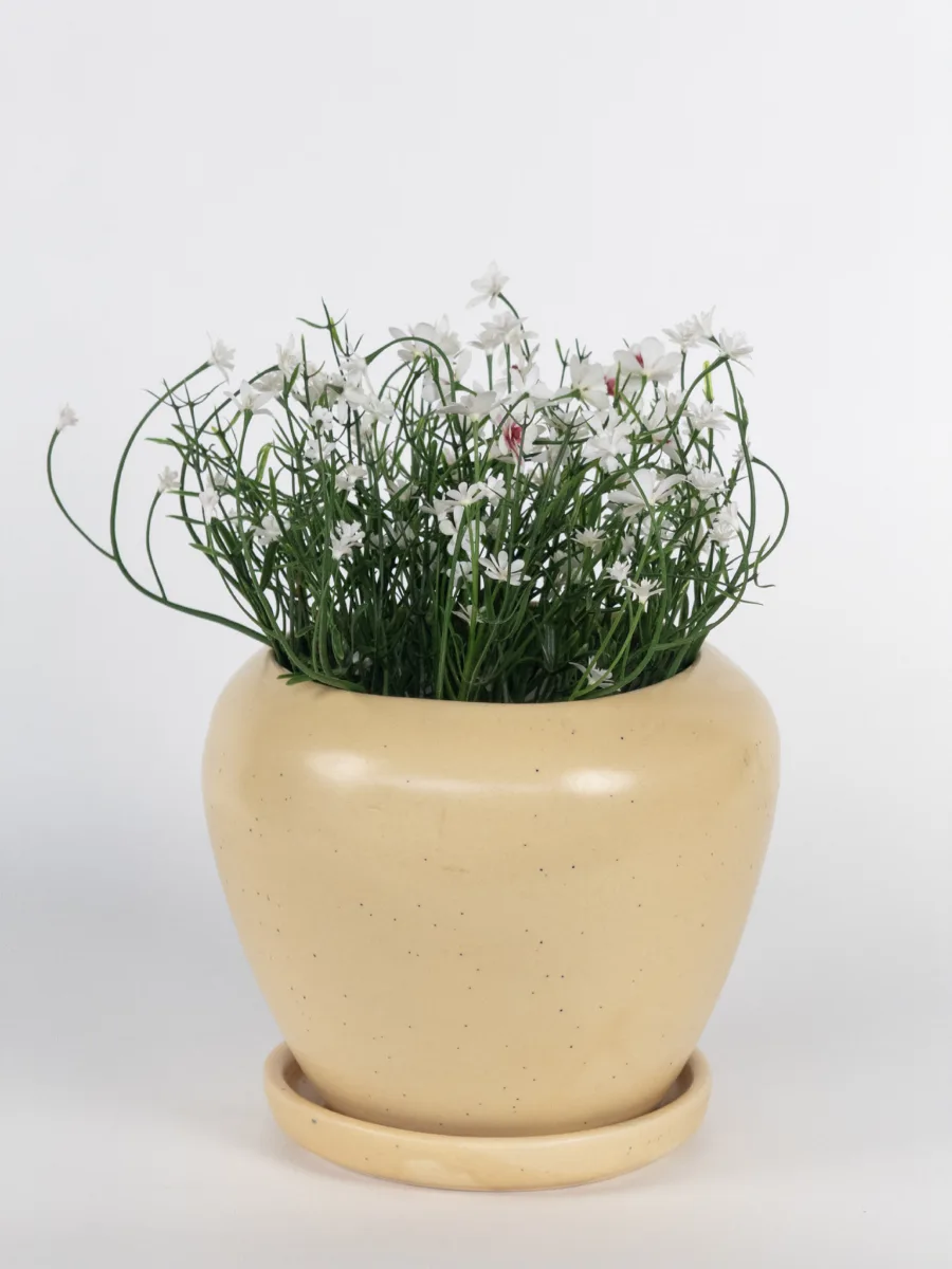 Classic Ceramic Planter — 8" Dia × 8" Height — Primary View