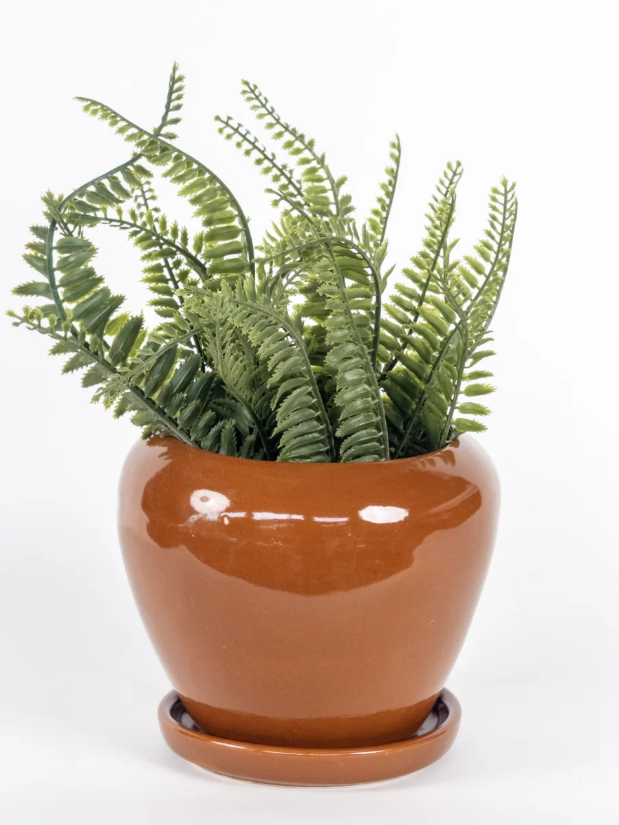 Classic Ceramic Planter — 8" Dia × 8" Height — Primary View