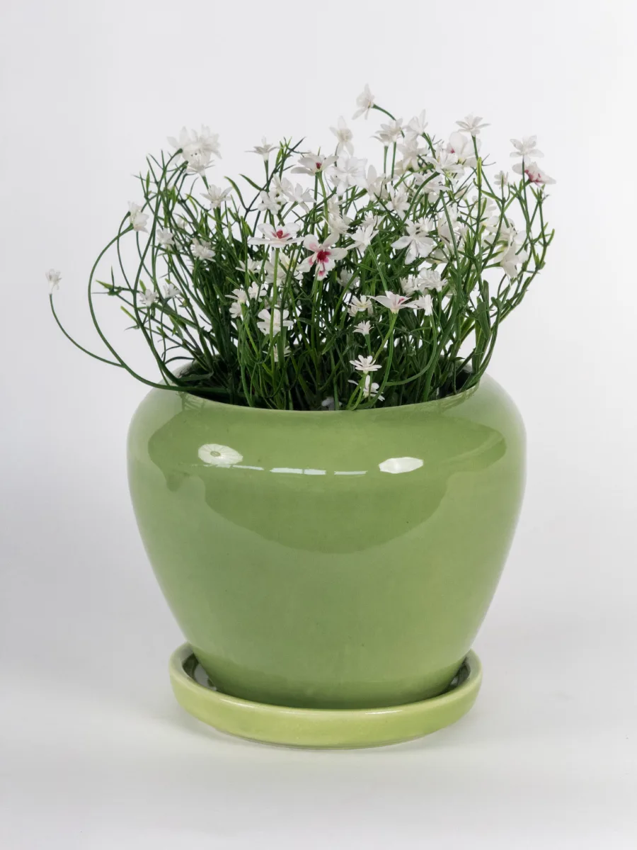 Classic Ceramic Planter — 9" Dia × 9" Height — Primary View