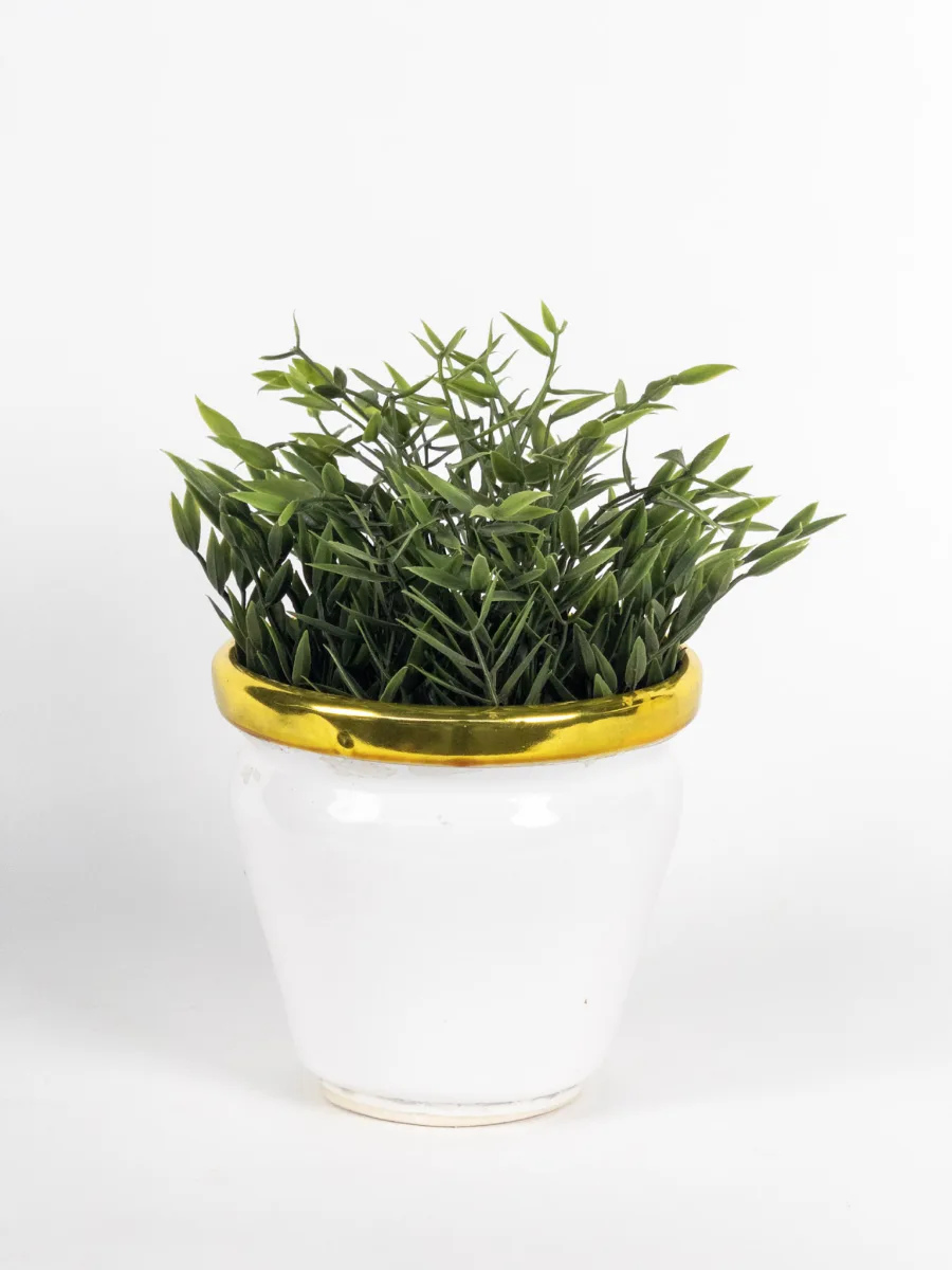 Classic Ceramic Planter — 6.5" Dia × 6" Height — Primary View