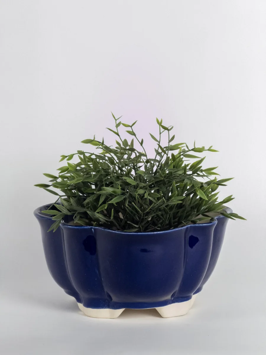 Classic Ceramic Planter — 5.5" Dia × 5.5" Height — Primary View