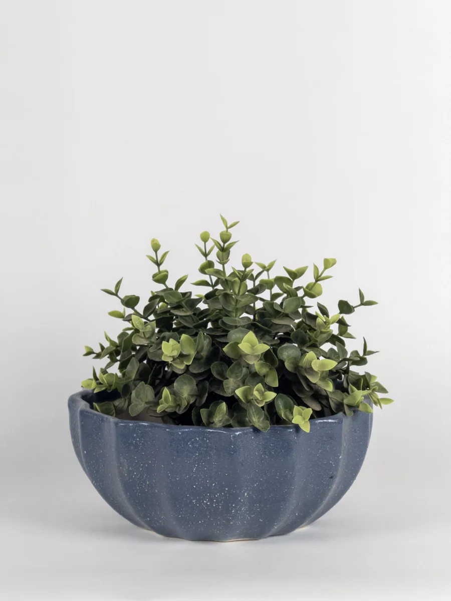 Classic Ceramic Planter — 6" Dia × 5.5" Height — Primary View