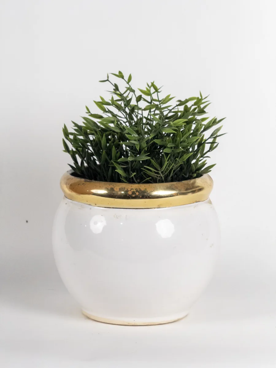 Classic Ceramic Planter — 8" Dia × 8" Height — Primary View
