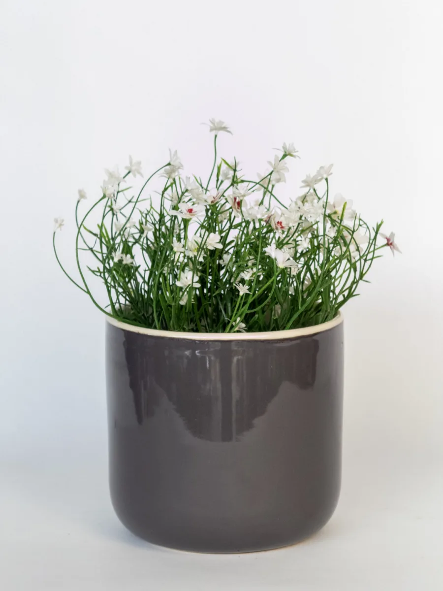 Classic Ceramic Planter — 8" Dia × 9" Height — Primary View