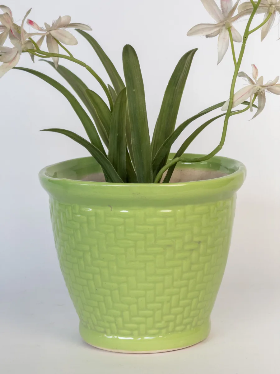 Classic Ceramic Planter — 6" Dia × 5.5" Height — Primary View