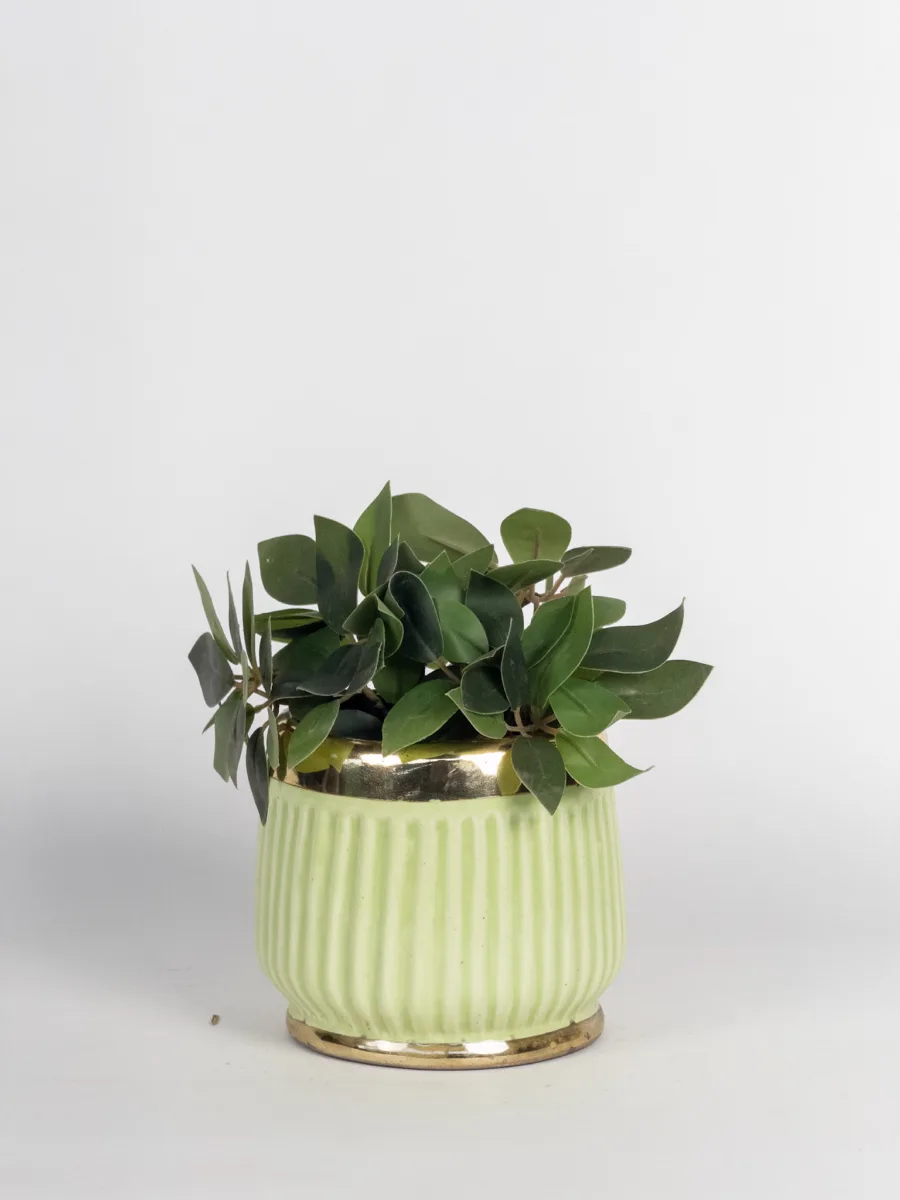 Classic Ceramic Planter — 5" Dia × 5.5" Height — Primary View