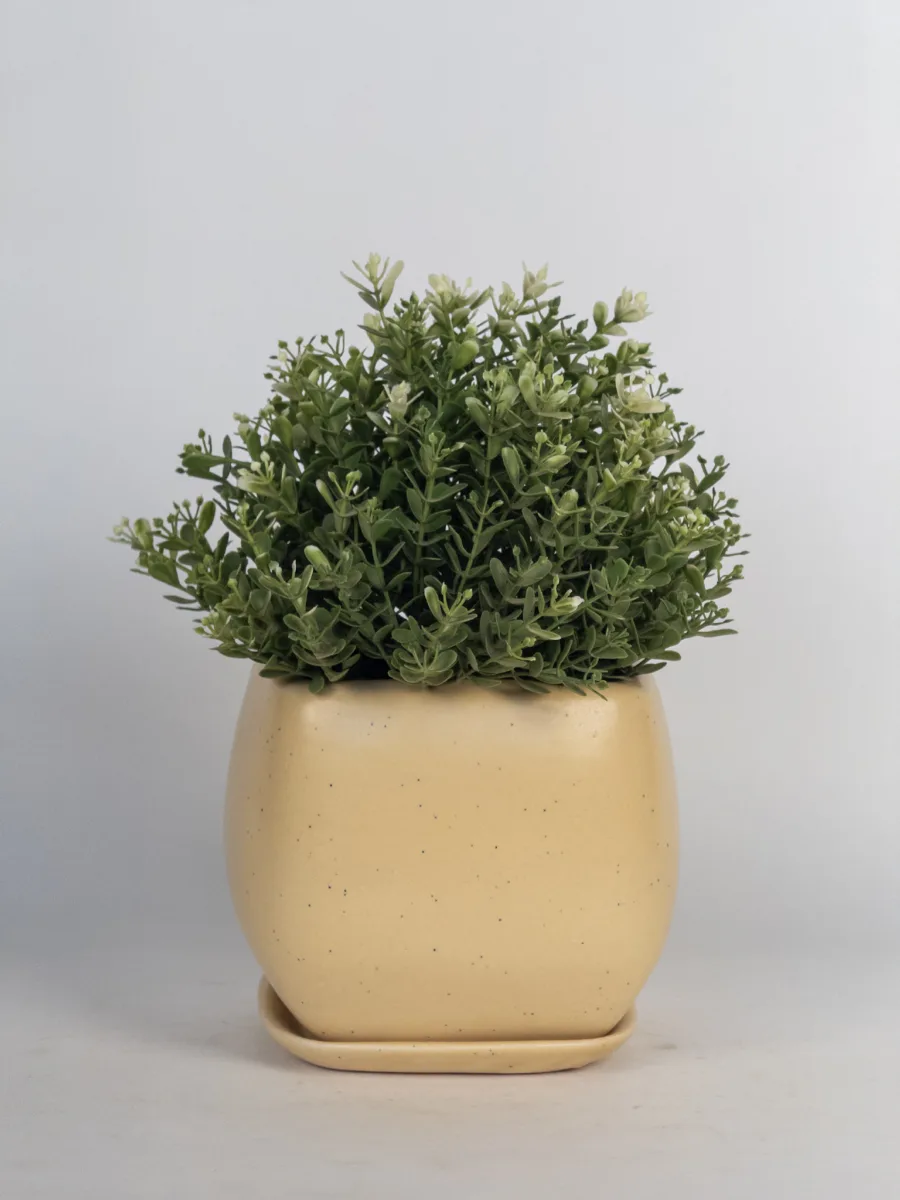 Classic Ceramic Planter — 7" Dia × 6.5" Height — Primary View