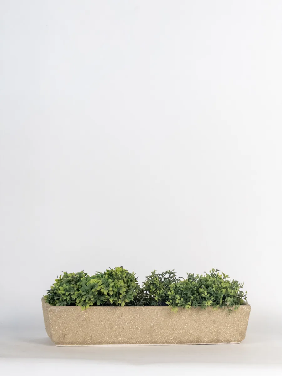 Classic Ceramic Planter — 5" Dia × 5.5" Height — Primary View