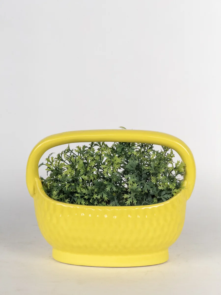 Classic Ceramic Planter — 8" Dia × 7" Height — Primary View