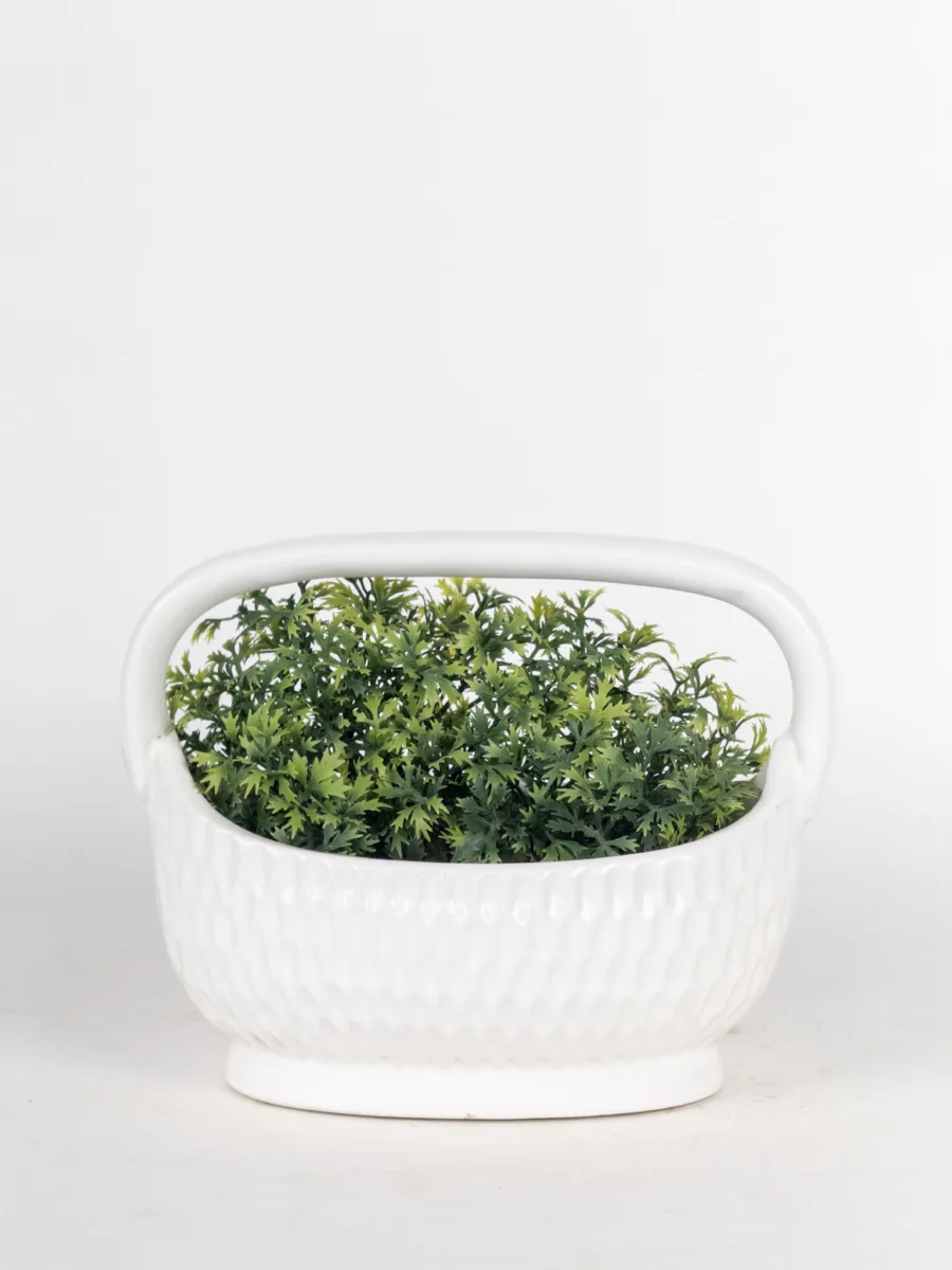 Classic Ceramic Planter — 5" Dia × 4" Height — Primary View