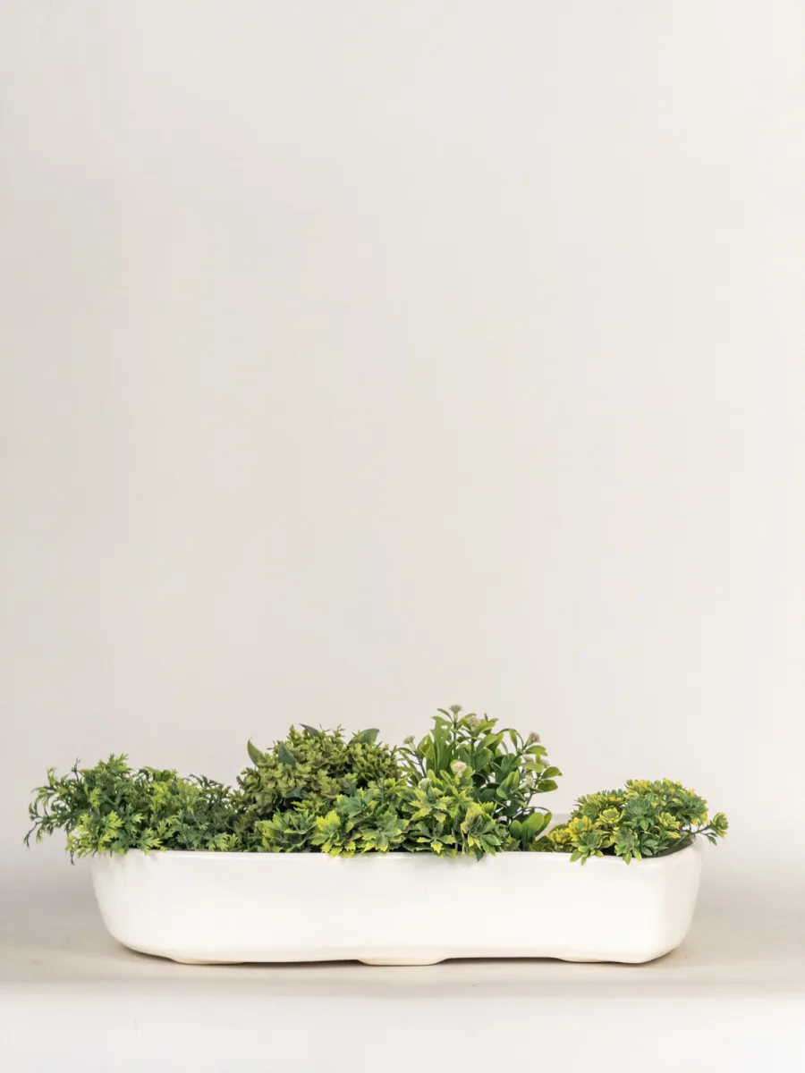 Classic Ceramic Planter — 5" Dia × 4.5" Height — Primary View