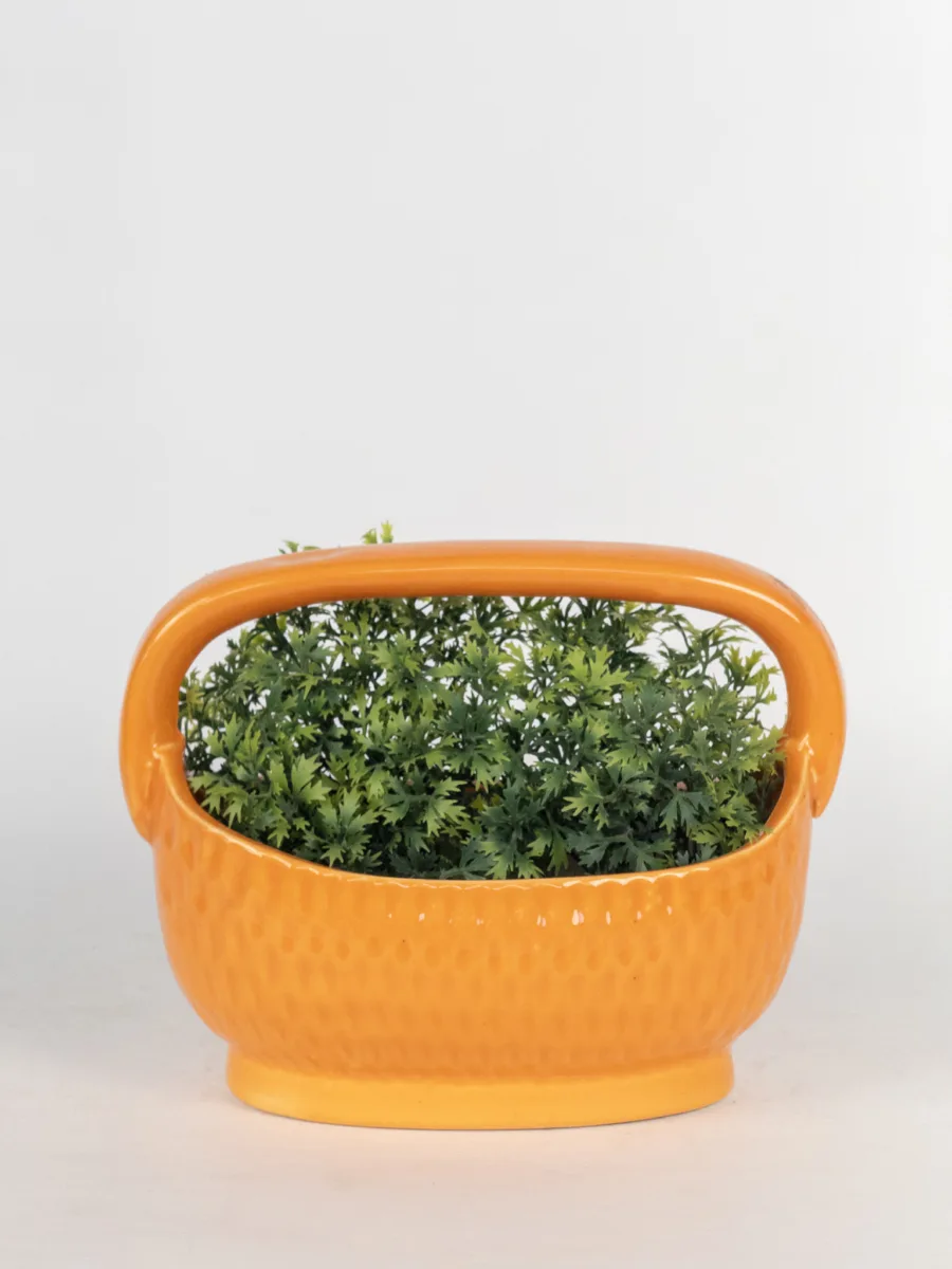 Classic Ceramic Planter — 5.5" Dia × 5" Height — Primary View