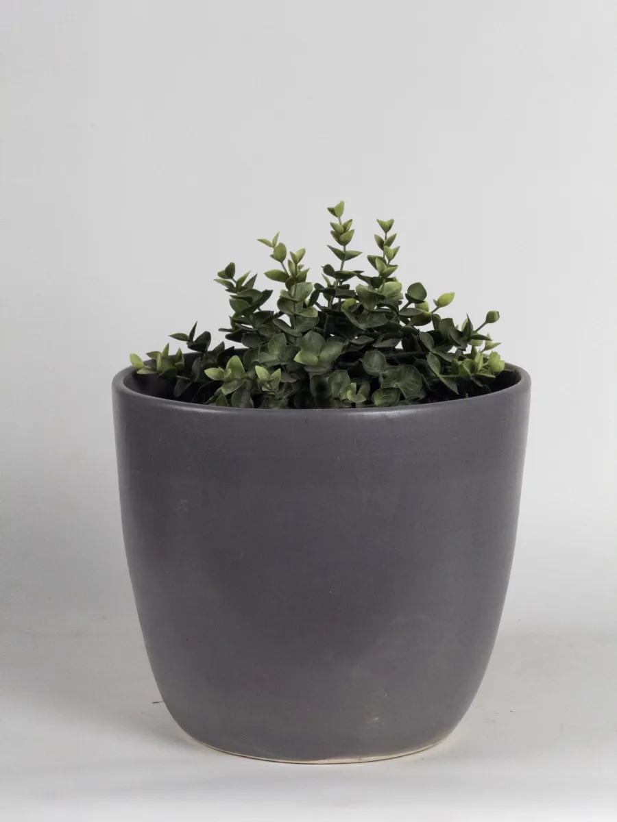 Classic Ceramic Planter — 7" Dia × 6" Height — Primary View