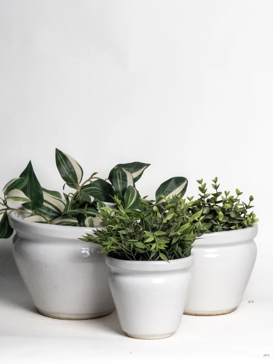 Classic Ceramic Planter — 9" Dia × 9" Height — Primary View